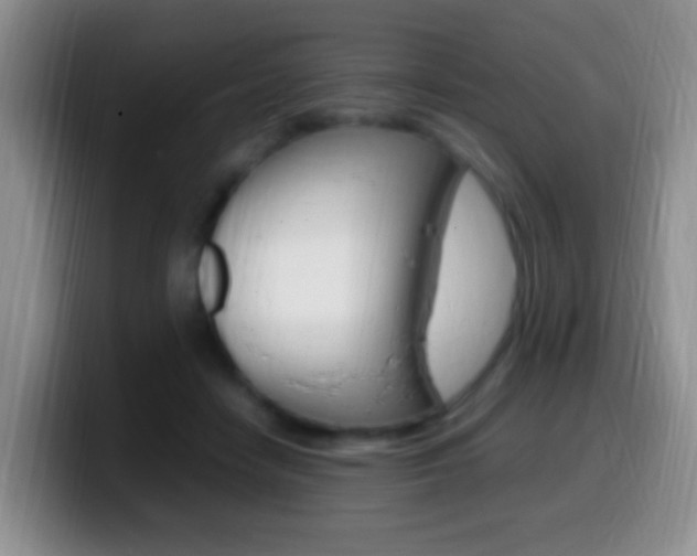 X0000099980458200805231027