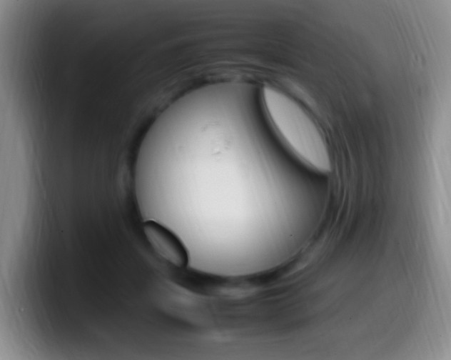 X0000099980459200805231027