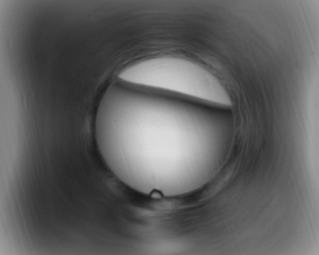 X0000099980461200805231027