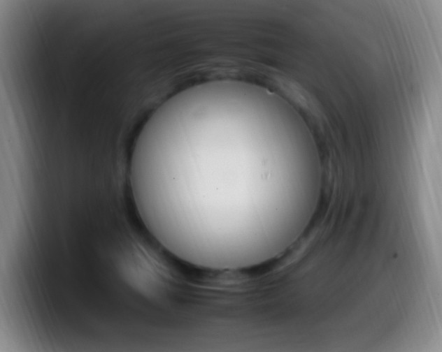 X0000099980463200805231027