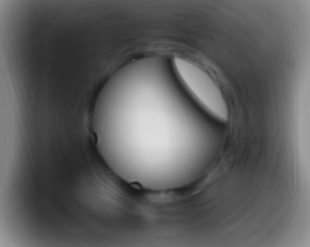 X0000099980465200805231027