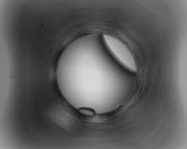X0000099980467200805231027
