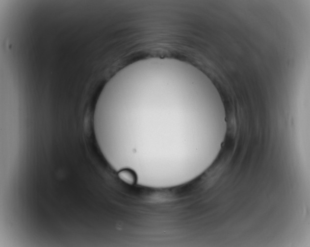 X0000099980468200805231027