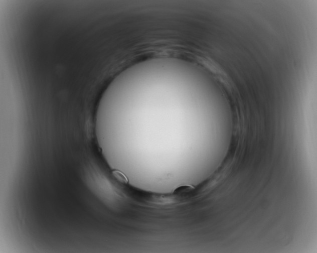X0000099980469200805231027
