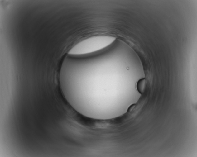 X0000099980470200805231027