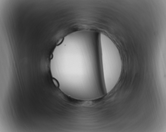 X0000099980474200805231027