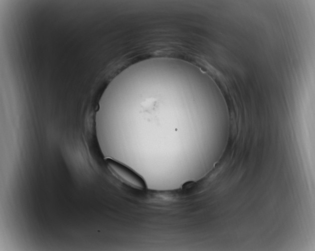 X0000099980475200805231027