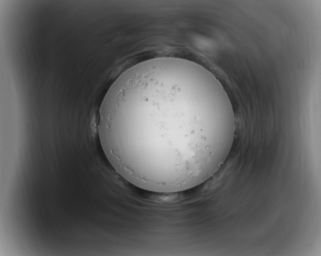 X0000099980479200805231027