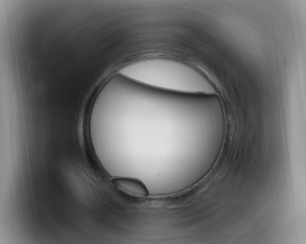 X0000099980482200805231026