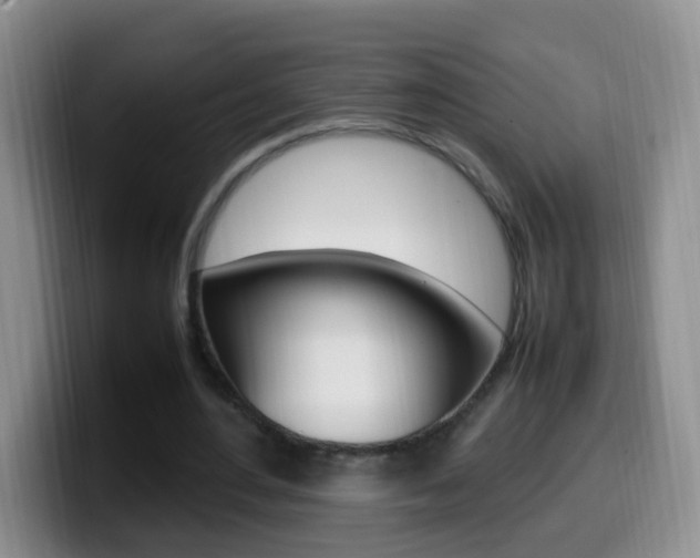 X0000099980484200805231026