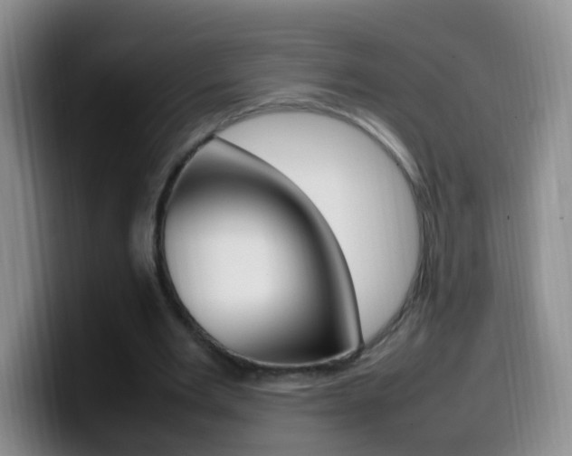 X0000099980485200805231026