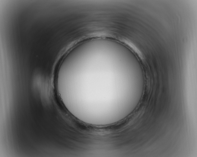 X0000099980486200805231026