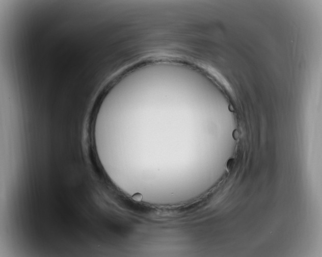 X0000099980487200805231026