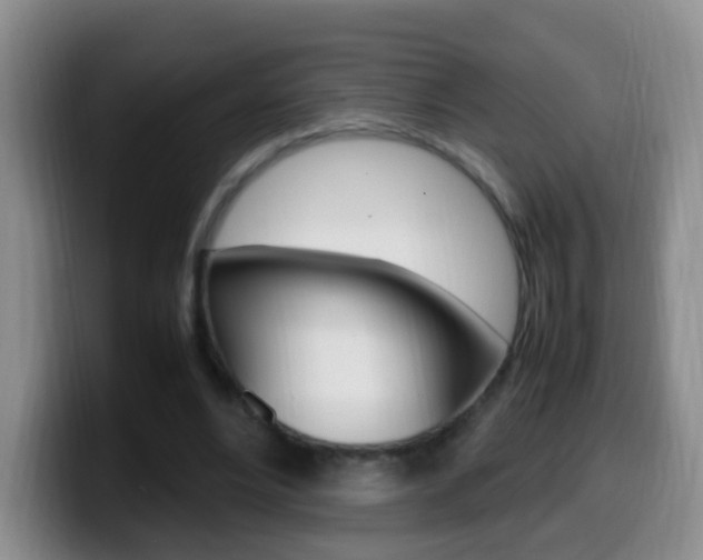 X0000099980488200805231026