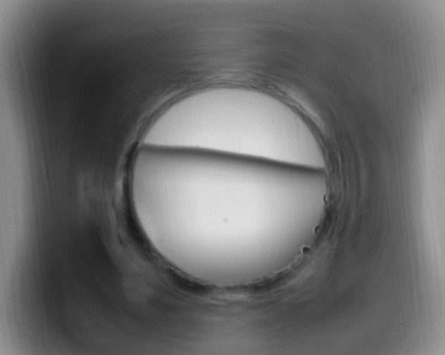 X0000099980491200805231026