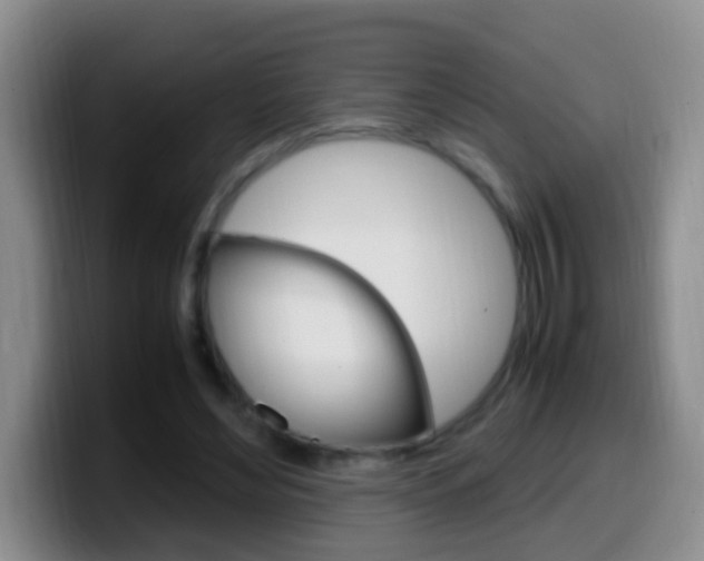 X0000099980492200805231026