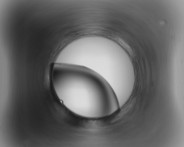 X0000099980493200805231026