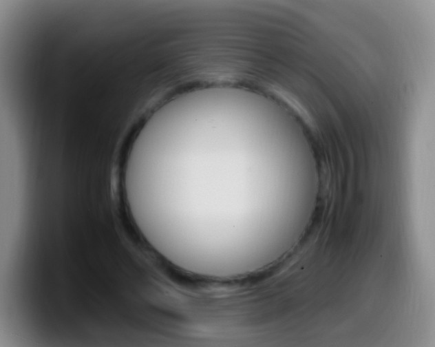 X0000099980494200805231026