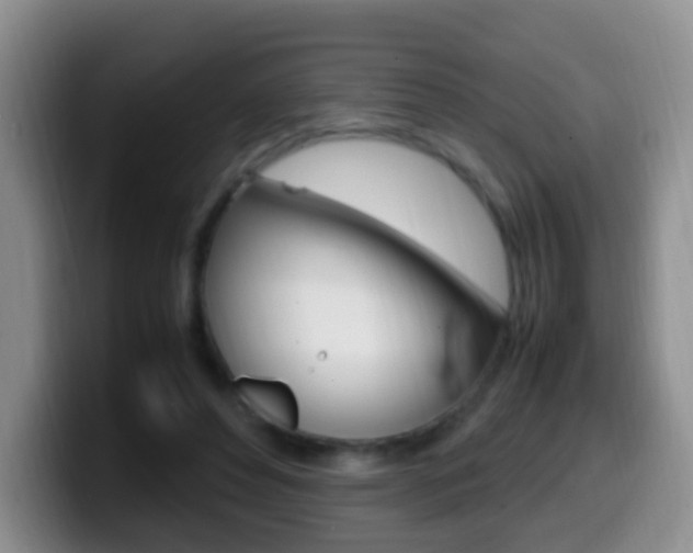 X0000099980496200805231026