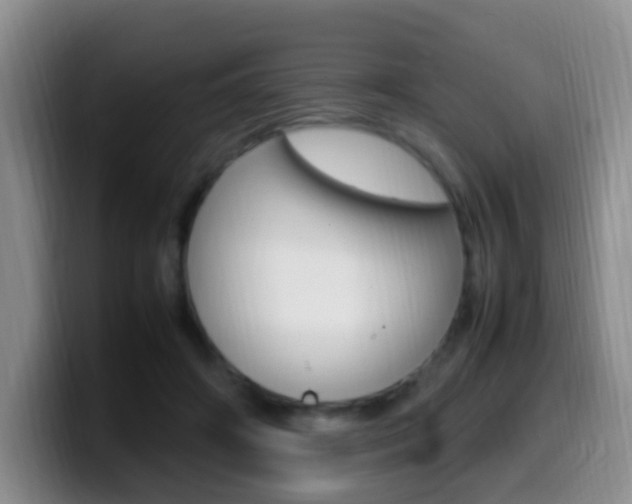X0000099980498200805231026