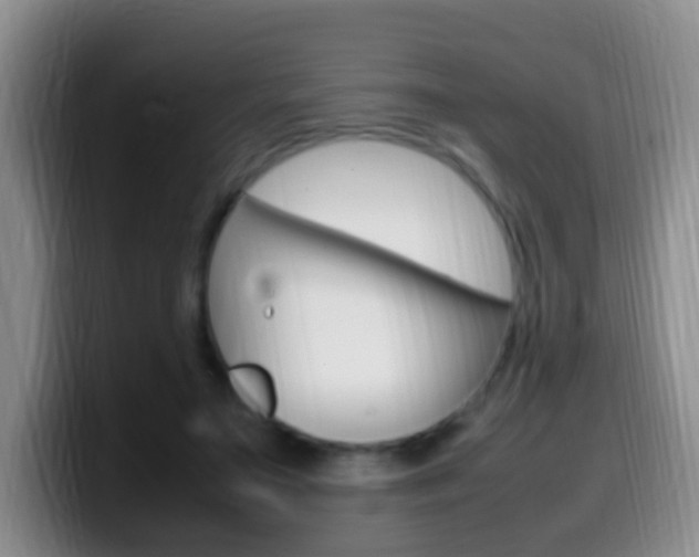 X0000099980499200805231026
