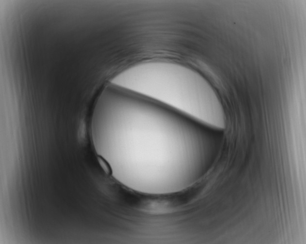 X0000099980500200805231026