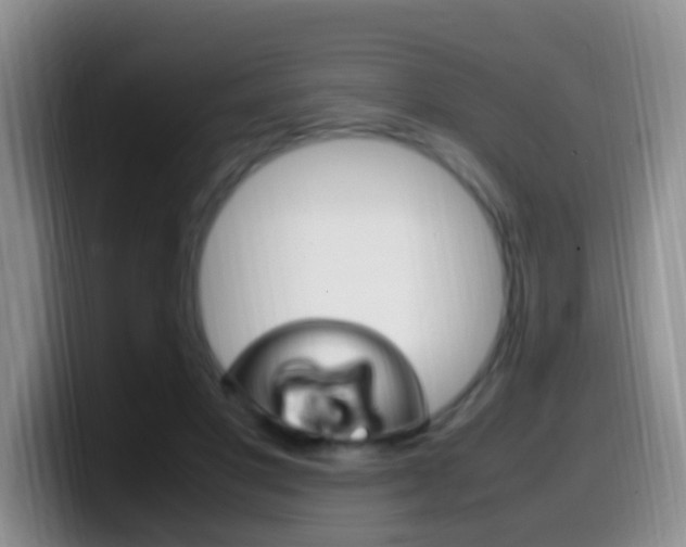 X0000099980501200805231026