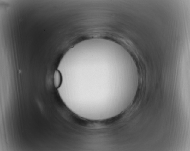 X0000099980503200805231026