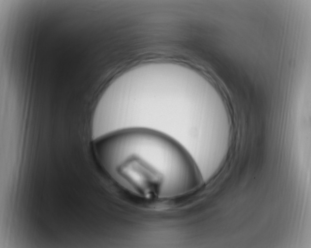 X0000099980505200805231026
