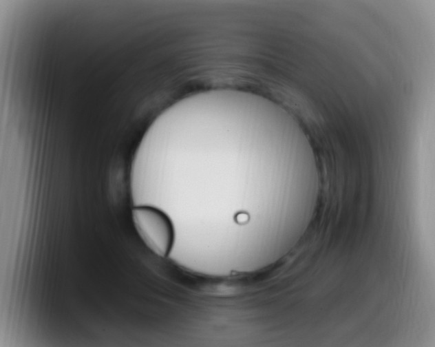 X0000099980506200805231026