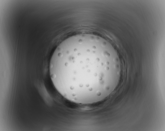 X0000099980507200805231026