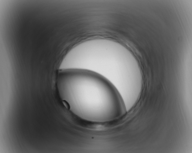 X0000099980509200805231026