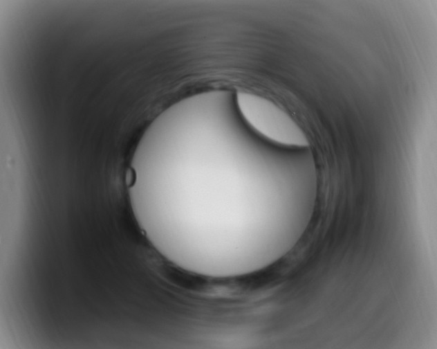 X0000099980510200805231026