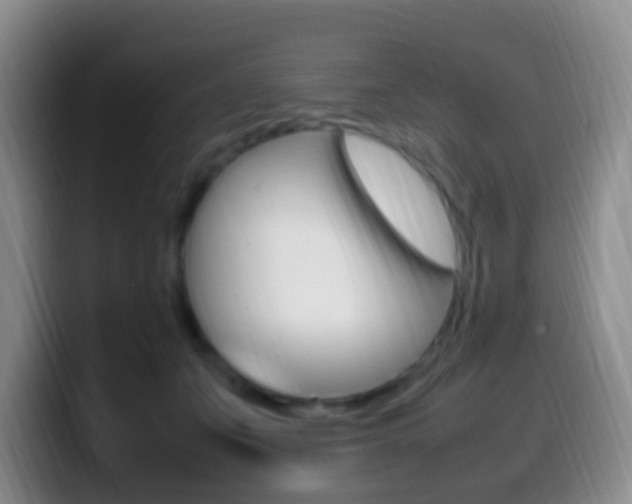 X0000099980511200805231026