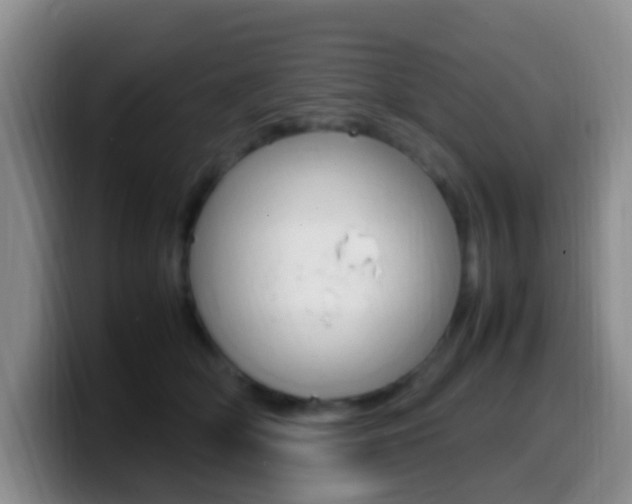 X0000099980514200805231026