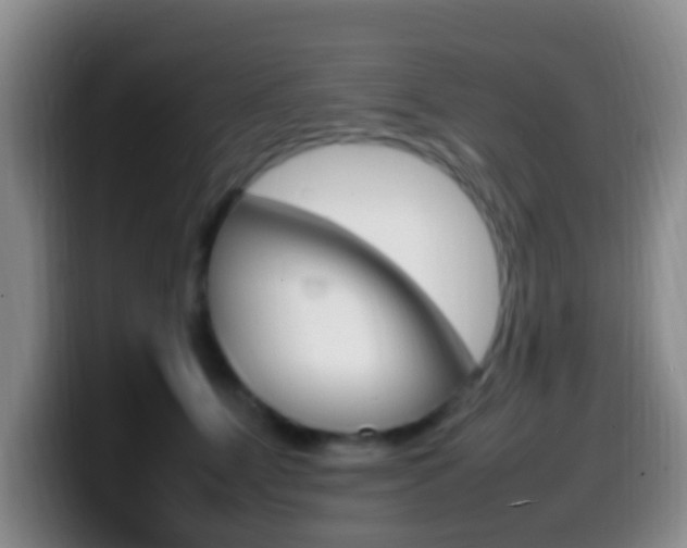 X0000099980515200805231026