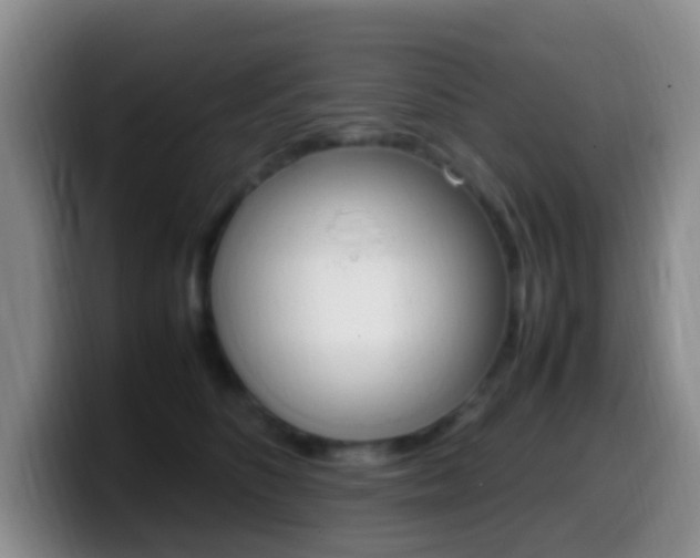 X0000099980516200805231026