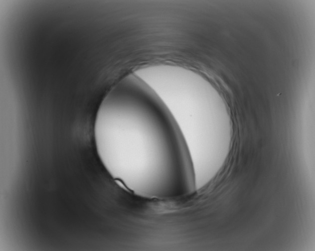 X0000099980517200805231026