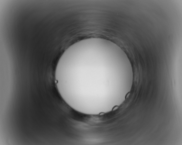 X0000099980518200805231026