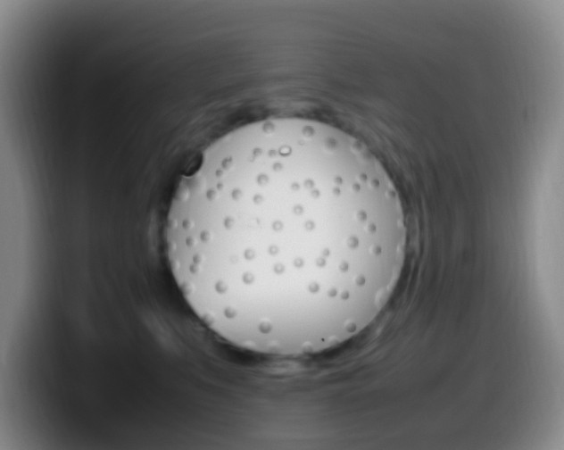 X0000099980519200805231026