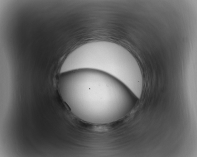 X0000099980520200805231026