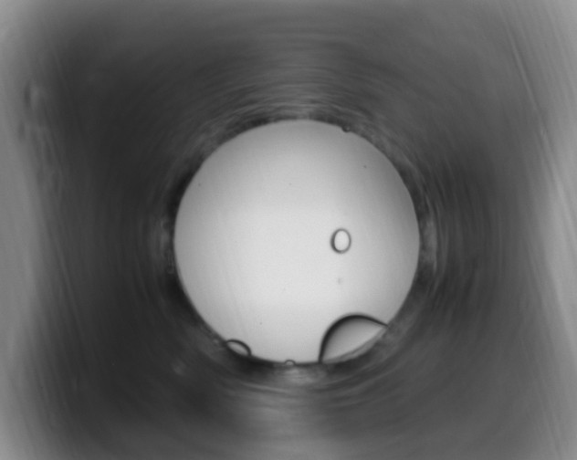 X0000099980522200805231026