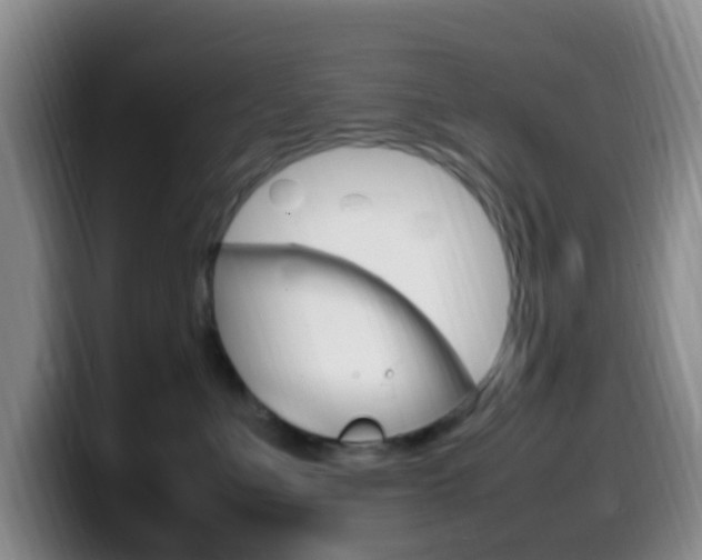 X0000099980523200805231026
