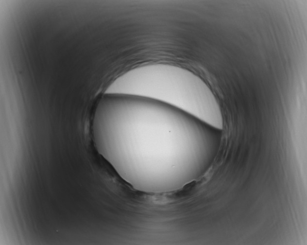 X0000099980524200805231026