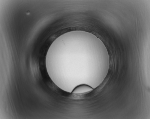 X0000099980526200805231026