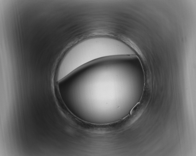 X0000099980530200805231025
