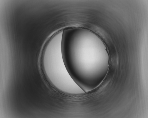 X0000099980532200805231025