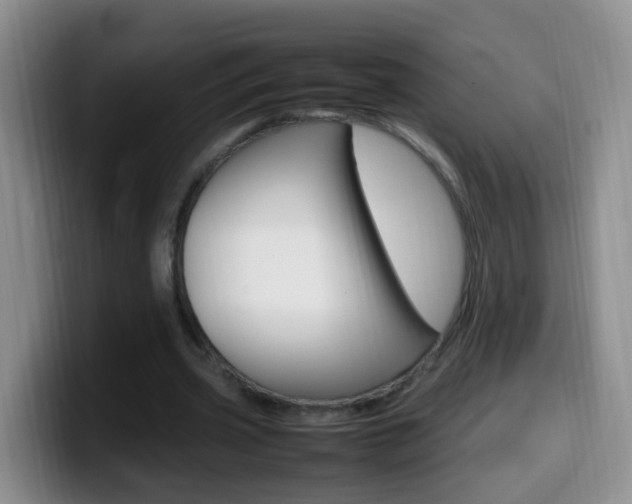 X0000099980533200805231025