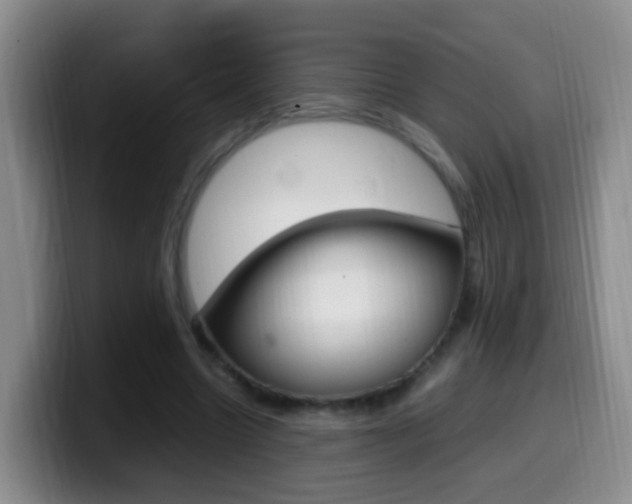 X0000099980538200805231025