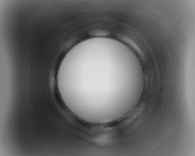 X0000099980541200805231025